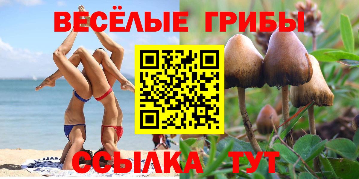 Карпинск  Псилоцибиновые грибы ЛСД  Вход с VPN 